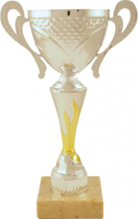 Športový pohár FLAME CUP SILVER